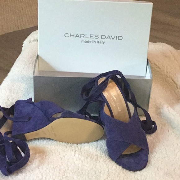 Charles David Blue Sandal - Picture 2 of 6